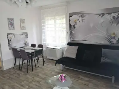 Ferienwohnung für 4 Personen (40 m²) in Balatonfenyves 10/10