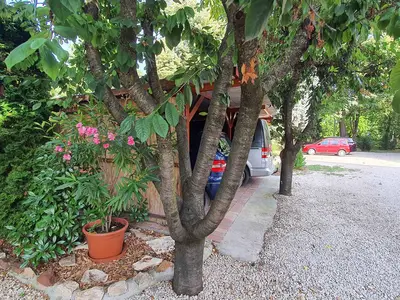Ferienwohnung für 5 Personen (60 m²) in Balatonföldvár 8/10