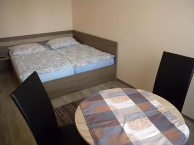Ferienwohnung für 3 Personen (30 m²) in Balatonföldvár 1/10