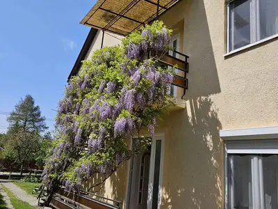 Ferienwohnung für 5 Personen (40 m²) in Balatonföldvár 10/10