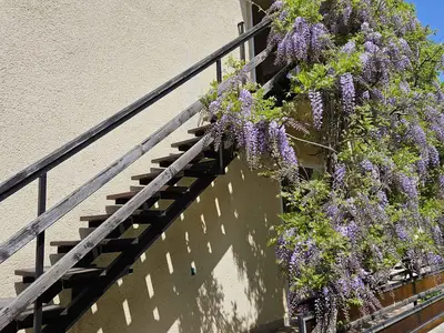 Ferienwohnung für 5 Personen (40 m²) in Balatonföldvár 9/10