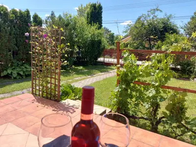 Ferienwohnung für 5 Personen (40 m²) in Balatonföldvár 2/10