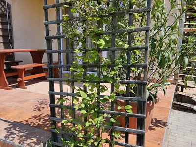 Ferienwohnung für 5 Personen (40 m²) in Balatonföldvár 5/10