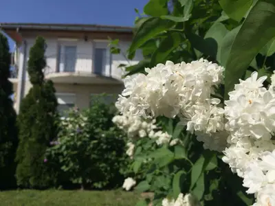 Ferienwohnung für 5 Personen (35 m²) in Balatonlelle 7/10