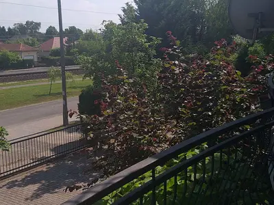 Ferienwohnung für 3 Personen (26 m²) in Balatonlelle 8/10