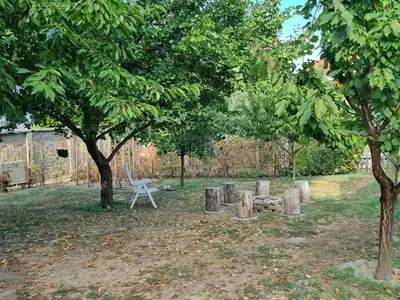 Ferienwohnung für 3 Personen (45 m²) in Balatonlelle 4/10