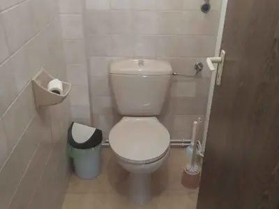 Ferienwohnung für 4 Personen (100 m²) in Balatonlelle 8/10