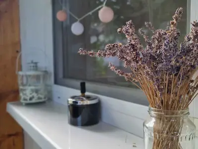 Ferienwohnung für 2 Personen (25 m²) in Balatonlelle 2/10