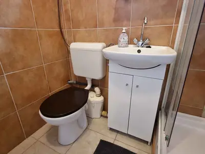 Ferienwohnung für 2 Personen (25 m²) in Balatonlelle 9/10