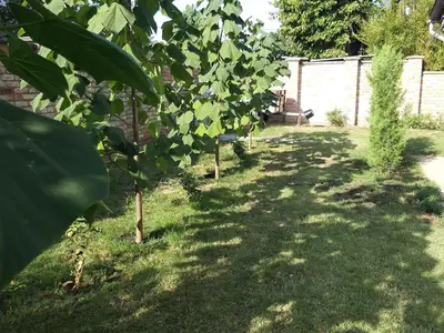 Ferienwohnung für 4 Personen (47 m²) in Balatonszemes 8/10