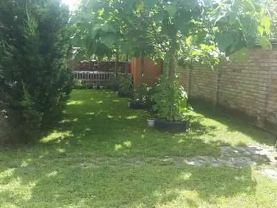 Ferienwohnung für 4 Personen (47 m²) in Balatonszemes 5/10