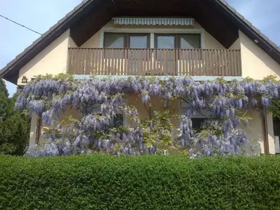 Ferienwohnung für 6 Personen (65 m²) in Balatonszentgyörgy 10/10
