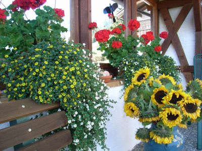 Blumen auf der Terrasse