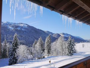 23143713-Ferienwohnung-5-Balderschwang-300x225-2