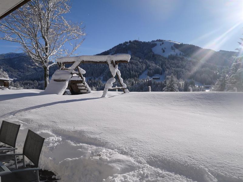 23143279-Ferienwohnung-4-Balderschwang-800x600-1