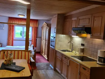 Küchenzeile im Wohn- Schalfraum