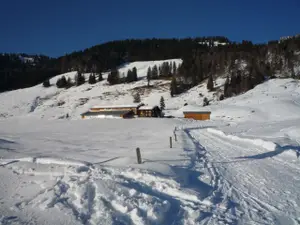 Ferienwohnung für 4 Personen (80 m²) in Balderschwang