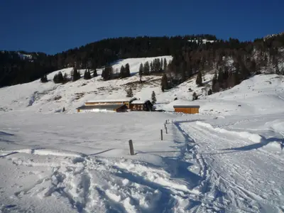 Alpe Steurer
