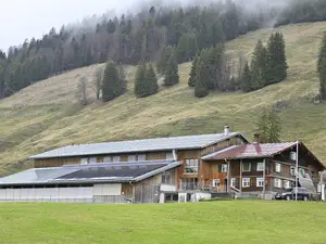 Ferienwohnung für 4 Personen (50 m²) in Balderschwang