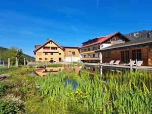 Ferienwohnung für 6 Personen (58 m²) in Balderschwang