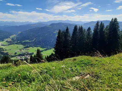 Ferienwohnung für 5 Personen (50 m²) in Balderschwang 8/10