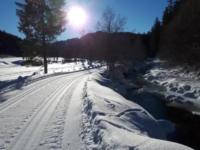 Ferienwohnung für 4 Personen (42 m²) in Balderschwang 10/10