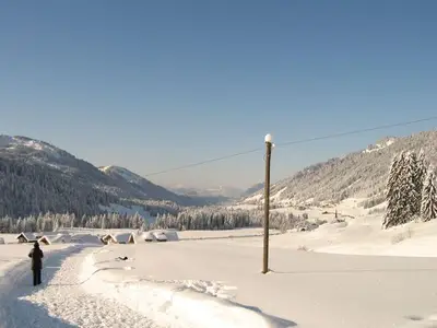 Ferienwohnung für 2 Personen (52 m²) in Balderschwang 10/10