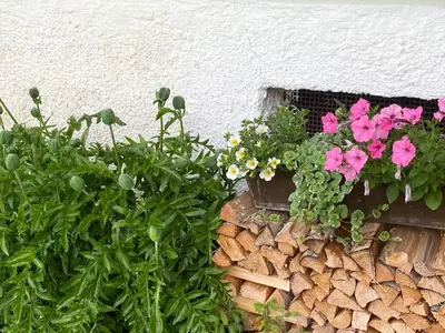 Ferienwohnung für 2 Personen (29 m²) in Balderschwang 7/10