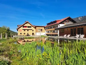 Ferienwohnung für 6 Personen (58 m²) in Balderschwang
