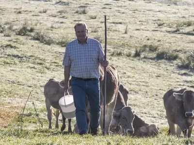 Ferienwohnung für 6 Personen (58 m²) in Balderschwang 4/10