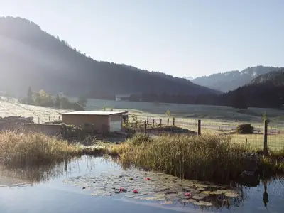 Ferienwohnung für 6 Personen (58 m²) in Balderschwang 6/10