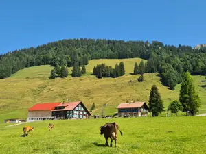 Ferienwohnung für 2 Personen (26 m²) in Balderschwang