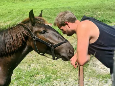 Norikerstute Hella und Stefan