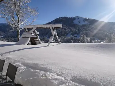 Ferienwohnung für 3 Personen (45 m²) in Balderschwang 2/10