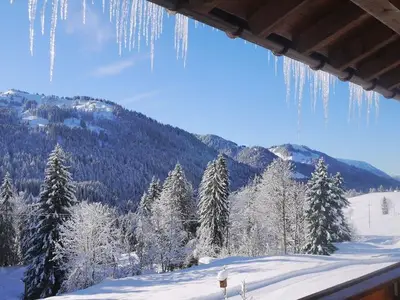 Ferienwohnung für 3 Personen (45 m²) in Balderschwang 3/10