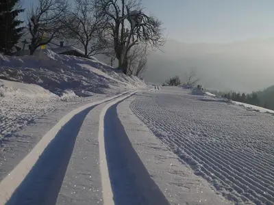 Ferienwohnung für 3 Personen (45 m²) in Balderschwang 4/10