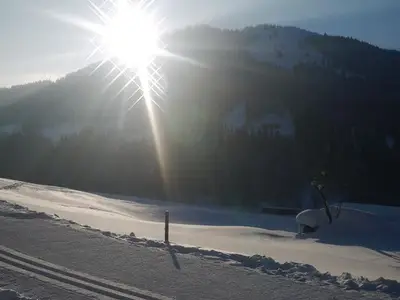 Ferienwohnung für 3 Personen (45 m²) in Balderschwang 7/10