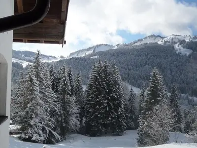 Ferienwohnung für 3 Personen (45 m²) in Balderschwang 8/10