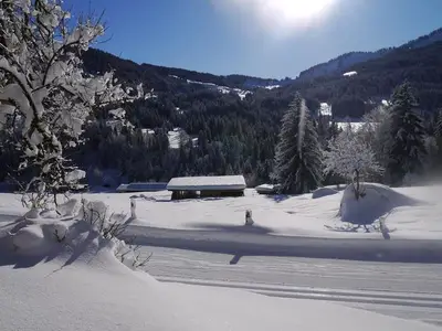 Ferienwohnung für 3 Personen (45 m²) in Balderschwang 9/10