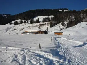 Ferienwohnung für 4 Personen (80 m²) in Balderschwang