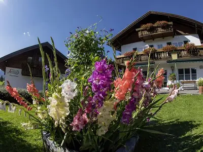 Ferienwohnung für 2 Personen (28 m²) in Balderschwang 2/10