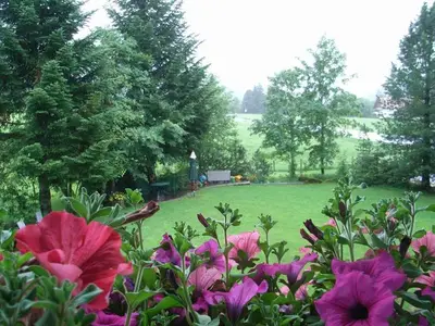 Ferienwohnung für 2 Personen (28 m²) in Balderschwang 5/10