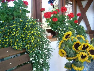 Ferienwohnung für 2 Personen (28 m²) in Balderschwang 8/10