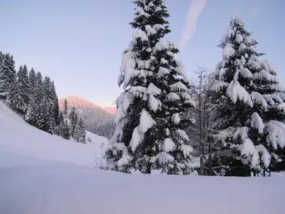Ferienwohnung für 2 Personen (28 m²) in Balderschwang 10/10