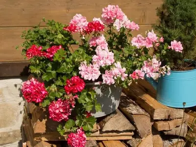 Ferienwohnung für 5 Personen (80 m²) in Balderschwang 6/10