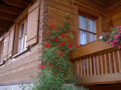 Ferienwohnung für 5 Personen (80 m²) in Balderschwang 2/10