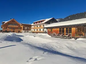 Ferienwohnung für 4 Personen (45 m²) in Balderschwang