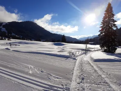 Loipe am Almhof Lässer