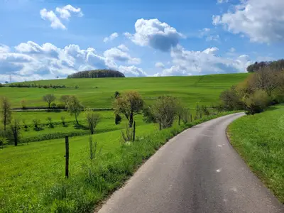Grüne Wiesen