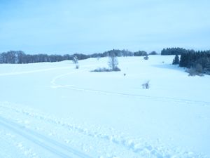 21874115-Ferienwohnung-3-Balingen-300x225-5